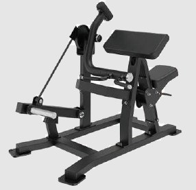 Biceps Curl