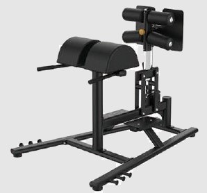 Glute & Hamstring Developer
