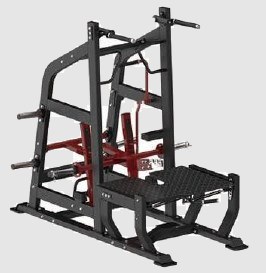 Multi Belt Squat