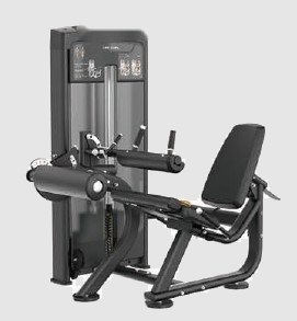 Seated Leg Curl