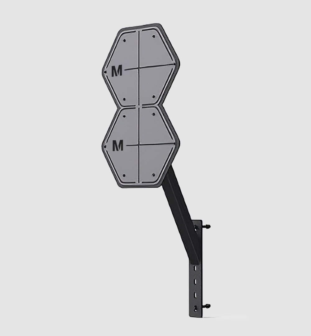 Rig Wall Ball Target